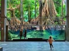 Cosmocaixa Science Museum Barcelona Cosmocaixa Museum is a great place to visit with kids in Barcelona.