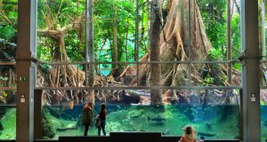 Cosmocaixa Science Museum Barcelona Cosmocaixa Museum is a great place to visit with kids in Barcelona.