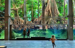 Cosmocaixa Science Museum Barcelona Cosmocaixa Museum is a great place to visit with kids in Barcelona.