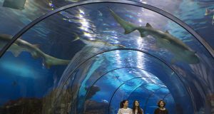 Barcelona Aquarium Barcelona aquarium Port Vell