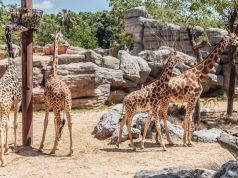 The Best Family Attractions to Visit in Barcelona Best family attractions in Barcelon