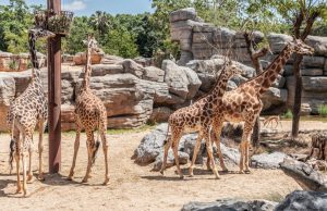 The Best Family Attractions to Visit in Barcelona Best family attractions in Barcelon