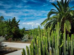 Discover the Wonders of the Barcelona Botanical Gardens Barcelona Botanical Gardens Montjuic Park