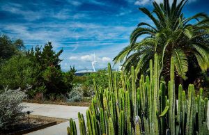 Discover the Wonders of the Barcelona Botanical Gardens Barcelona Botanical Gardens Montjuic Park